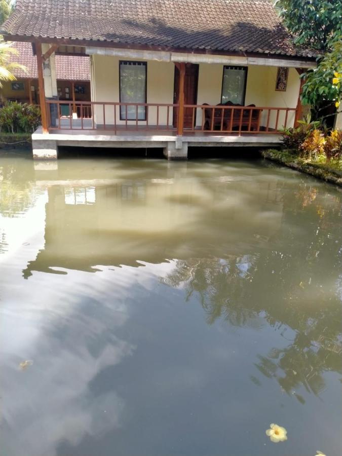 Villa Uma Ayu Sidemen 시데멘 외부 사진