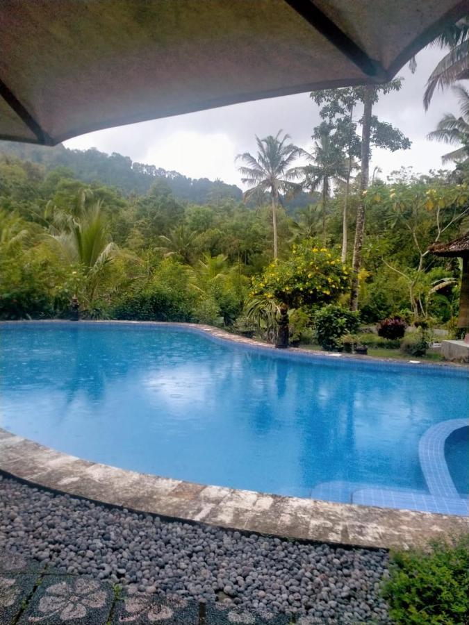 Villa Uma Ayu Sidemen 시데멘 외부 사진