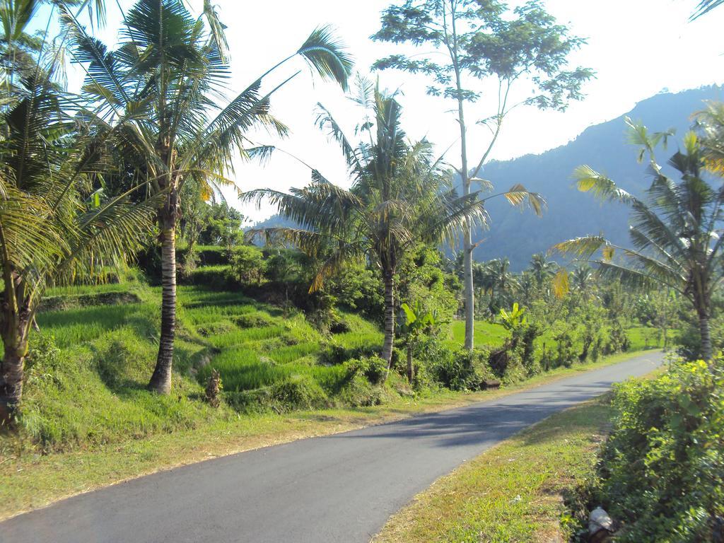 Villa Uma Ayu Sidemen 시데멘 외부 사진