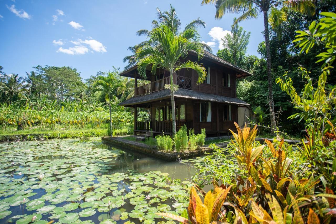 Villa Uma Ayu Sidemen 시데멘 외부 사진
