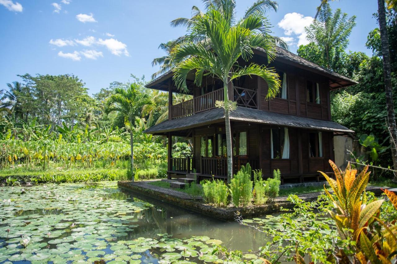 Villa Uma Ayu Sidemen 시데멘 외부 사진