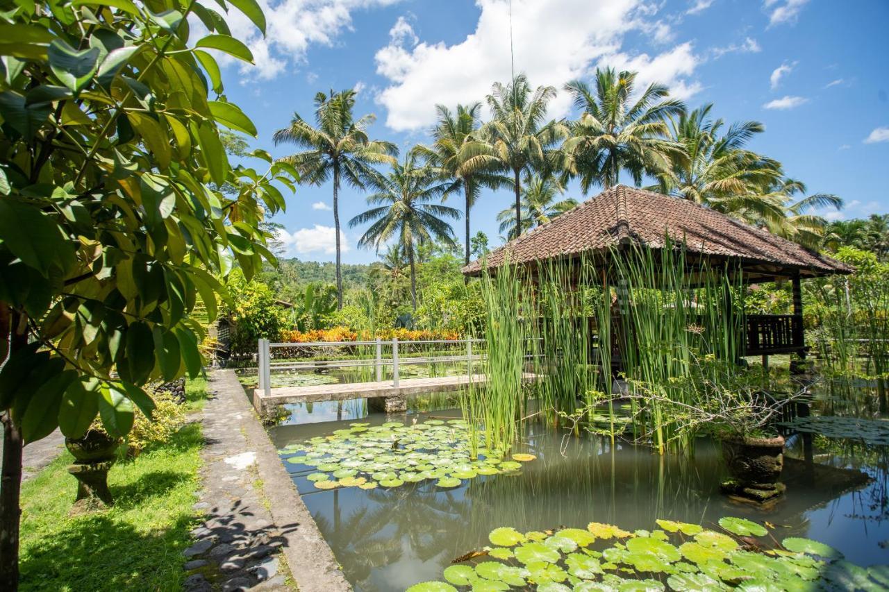 Villa Uma Ayu Sidemen 시데멘 외부 사진