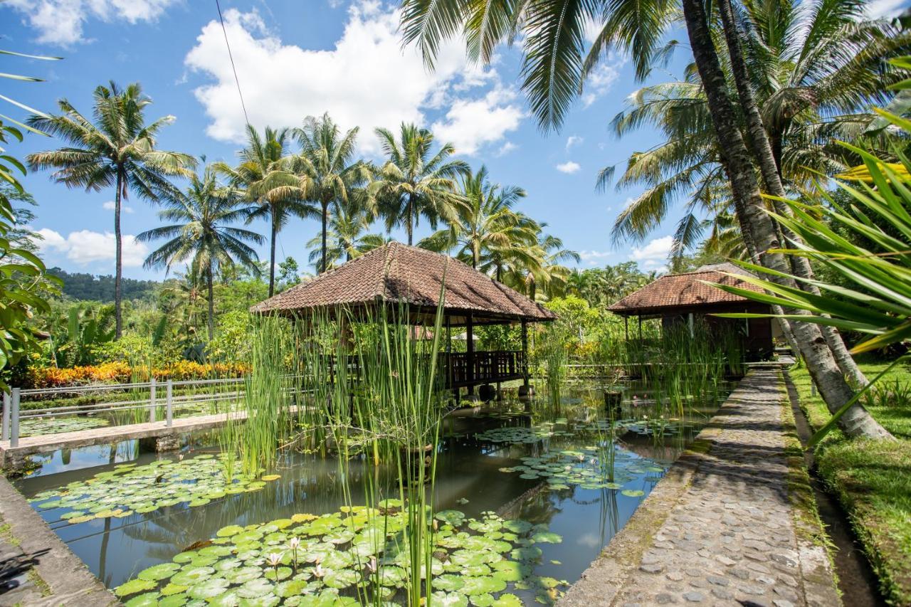 Villa Uma Ayu Sidemen 시데멘 외부 사진