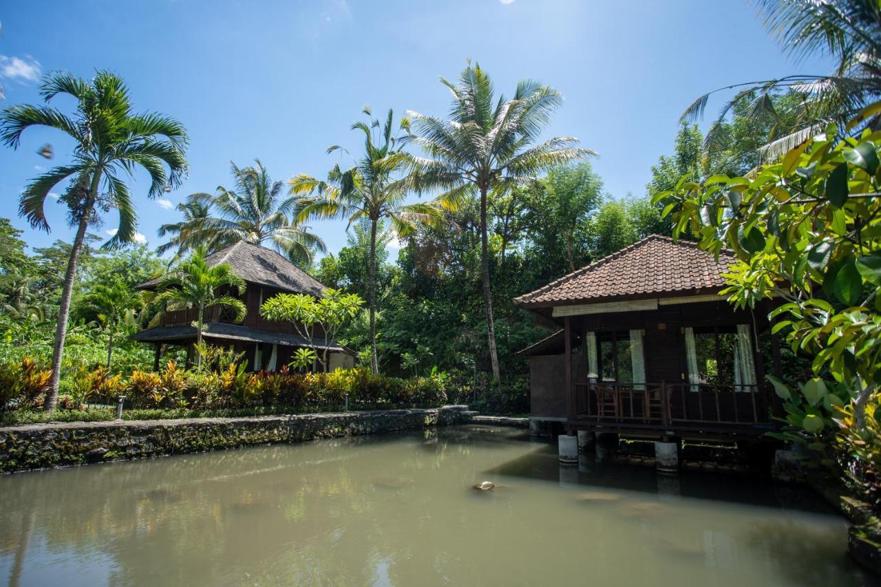 Villa Uma Ayu Sidemen 시데멘 외부 사진